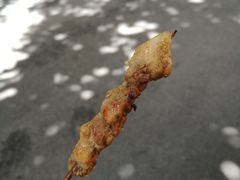 -陈记印尼风味小吃(北湖店)