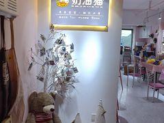 -奶油猫DIY·手工·团建·美陈搭建(宝山万达店)