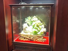 -燕春楼(海河华鼎店)