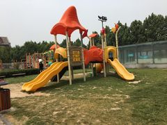 -廊坊固安福朋喜来登酒店