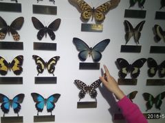 -上海昆虫博物馆