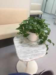 -叶美人医疗美容