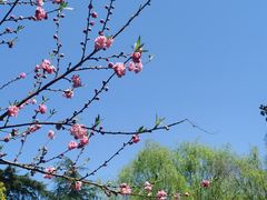 -杭州西湖柳莺里酒店·闻莺厅