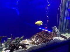 -MOJO密室逃脱(中街旗舰店)