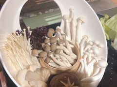 -洪氏嗨捞·广东猪肚鸡·椰子鸡火锅(西咸万象城店)
