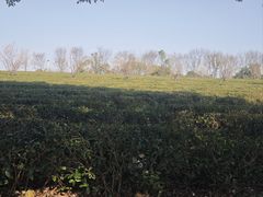 -凤凰沟景区