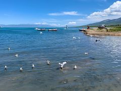 -青海湖国家重点风景名胜区