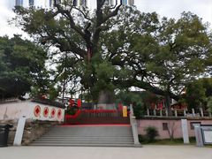 -新安江山水画廊风景区