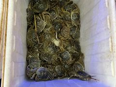 -蟹状元大闸蟹·年货·粽子(成都成华店)