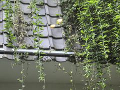 -花迹(富春江东街店)