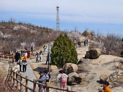-白水寺森林公园