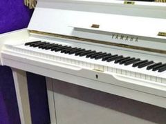 -弘智卉艺术教育/高端琴房(中央音乐学院店)