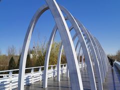 -大兴滨河森林公园