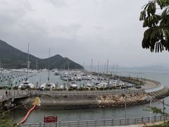 -深圳阿普萨拉斯酒店