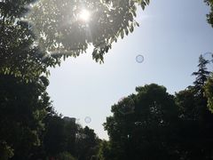 -重庆彩云湖湿地公园