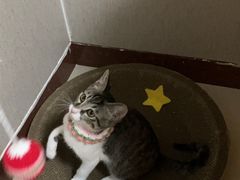 -佳雯宠物医院·皮肤科·内外科(春晓路分院)