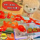 #一人一鍋 #任吃海鮮 #火鍋 🦐 渝天府火鍋