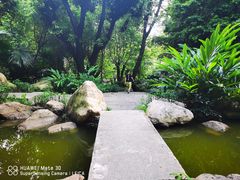 -广州珠江公园