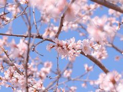 -居庸关长城