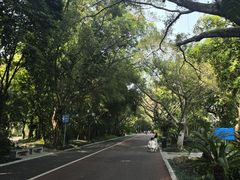 -南宁南湖公园