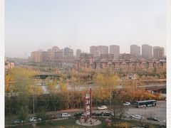 -前关湿地公园