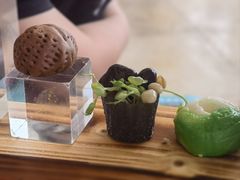 -三亚海棠湾喜来登度假酒店大堂吧