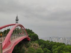 -金鸡山公园