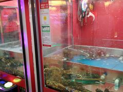 -大玩家(拱墅万达店)