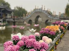 -中国翰园碑林