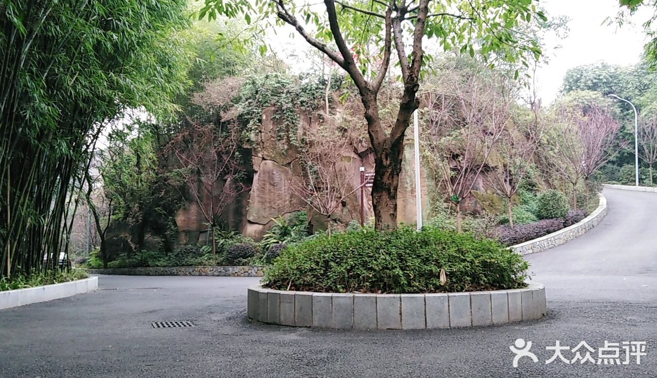 首到雨台山公園