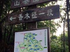 -中山市树木园