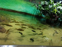 -苏州海洋馆