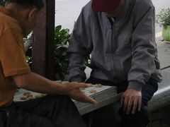 -长洲岛