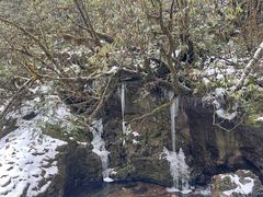 -龙苍沟森林公园