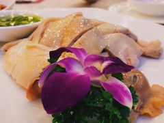 清远白切鸡-六婶西关小厨(光塔路店)