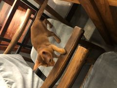 -小时光咖啡馆(北锣鼓巷店)
