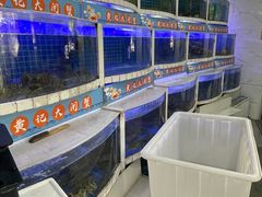 -黄记大闸蟹专卖店·活蟹·醉蟹