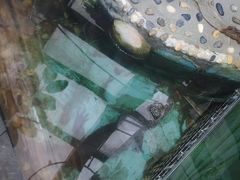 -上海大自然野生昆虫馆(东方明珠·爬宠昆虫探索中心)