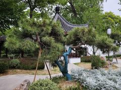 -泰州凤城河风景区-泰山公园