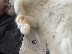 -平行世界·猫咖(首经贸店)