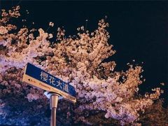 -武汉知音号