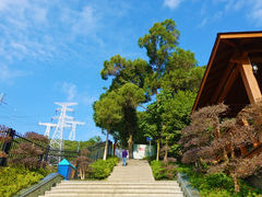 -仙岳公园