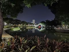 -金砂公园