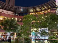 -瑞虹新天地月亮湾