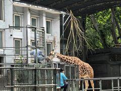 -合肥野生动物园