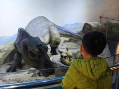 -国家自然博物馆