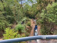 -岳麓山风景名胜区