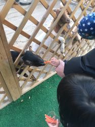 -萌宠亲子动物乐园(槐房万达店)