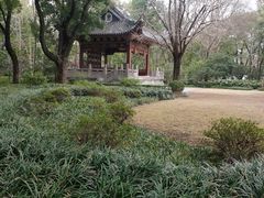 -汇龙潭