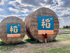 -嘉北郊野公园